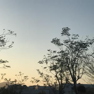 东北毛60发妇女毛片
