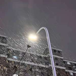 东北毛60发妇女毛片
