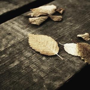 东北毛60发妇女毛片
