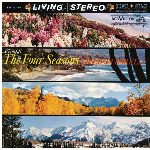 东北毛60发妇女毛片
